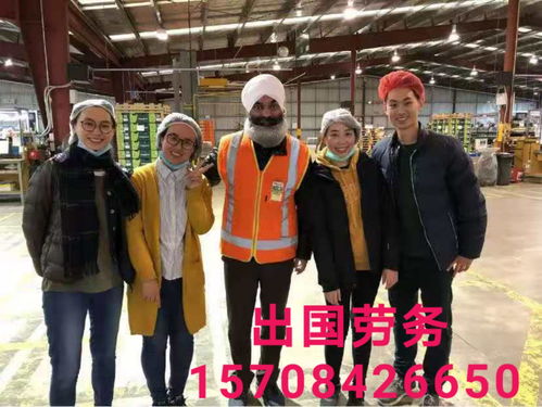 梅州正规出国劳务 加拿大食品厂急招建筑工、普工、司机，安全可靠一站式服务