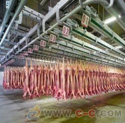 普工去澳大利亚海产品加工厂工作，值不值得？