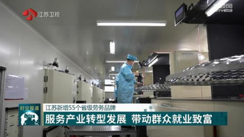 江苏新增55个省级劳务品牌 助力产业转型与就业升级